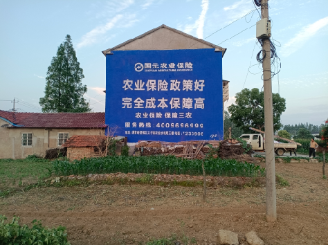 寿宁墙体广告为何受追捧？