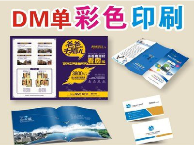 寿宁单页印刷，色彩搭配简单。